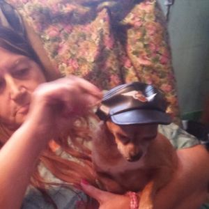 Meet your Posher, Robin